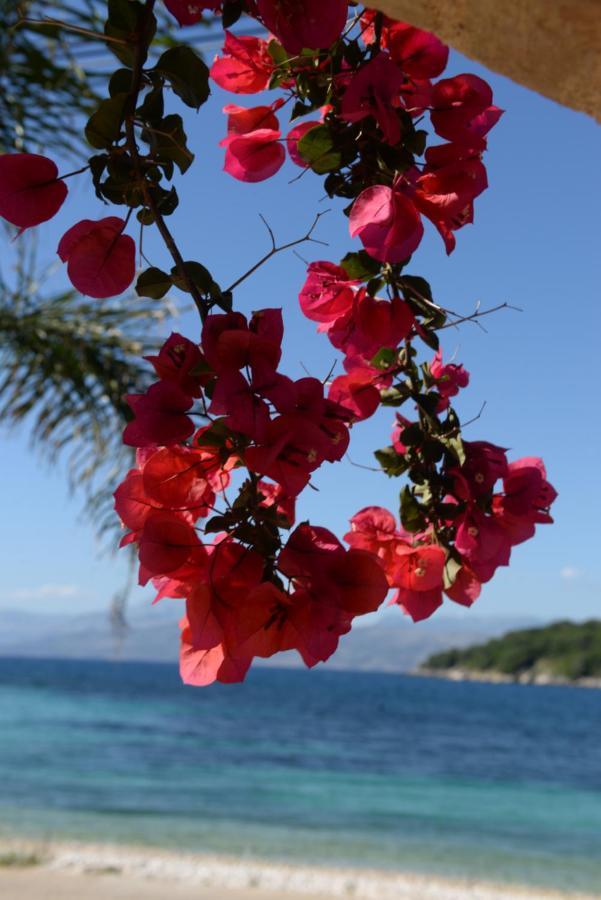 Villa Melanthi Kassiopi Corfu מראה חיצוני תמונה
