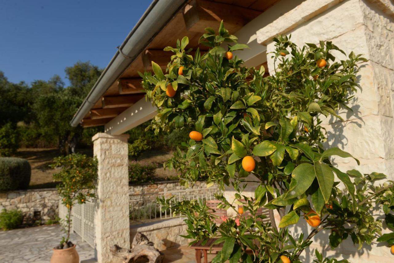 Villa Melanthi Kassiopi Corfu מראה חיצוני תמונה